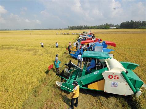 cơ giới hóa trong nông nghiệp